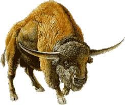 bisonte prehistorico