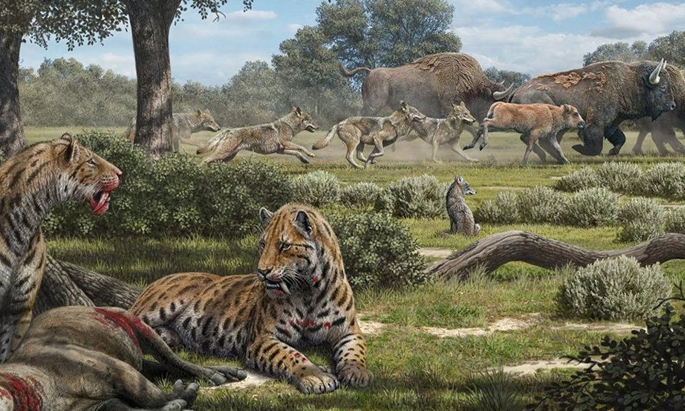 megafauna-nuevo-leon-era-hielo-prehistoria
