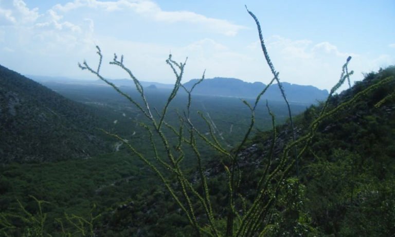 valle de las salinas